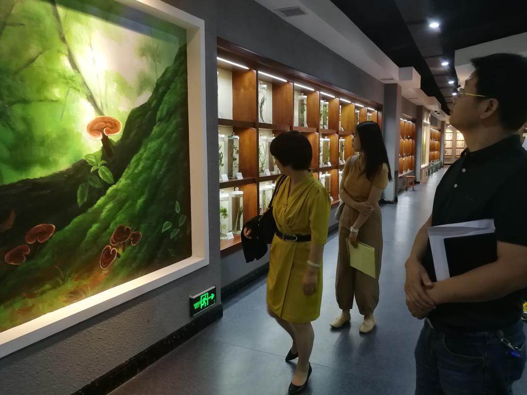 參觀(guān)中藥標本館